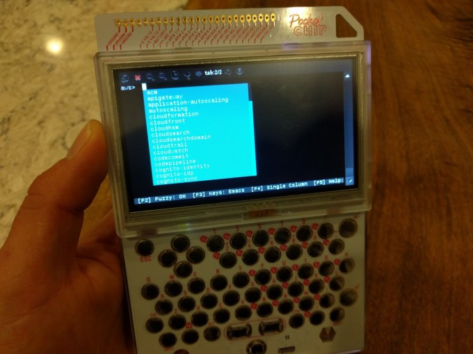 IMG_pocketchip1